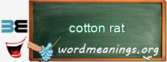 WordMeaning blackboard for cotton rat